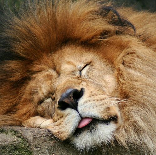 therealCMcD's profile picture. 