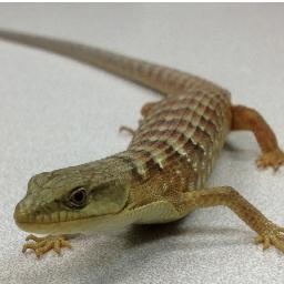 MrEClasses's profile picture. One of life's big Mr. E's