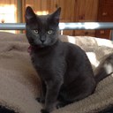 Katy Butler - @friendlytiger - Twitter