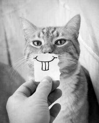 :) Always smile what ever happens! :) -- atletiek