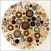 Henriette Kolb (@henriette_kolb) 's Twitter Profile Photo