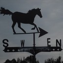 Charles Haven - @haven_charles - Twitter