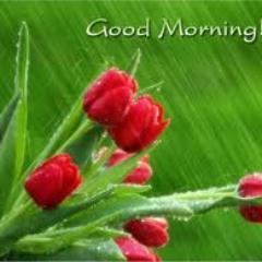 pravjotsingh0's profile picture. 