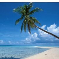 stormlover (@puppylovegirl4) 's Twitter Profile Photo