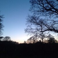 Anne (@chilternwalker) 's Twitter Profile