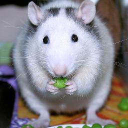 hollys1mom's profile picture. ❦♫♥❦♥♫❦ADAM LAMBERT❦♫♥❦♥♫❦

∞ ∞ ∞ ∞
♀ + ♀ = ♥
♀ + ♂ = ♥
♂ + ♂ = ♥
∞ ∞ ∞ ∞