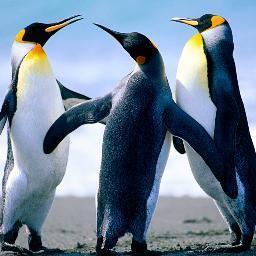 Gwen45153568's profile picture. hey everyone 
being sexy is awsome