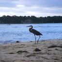 Lynette Roesch - @dlr0003 - Twitter