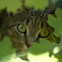 Flory210303's profile picture. Contador Público