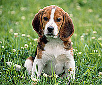 sergiog89985850's profile picture. 