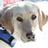 CinnamonNSCD's profile image