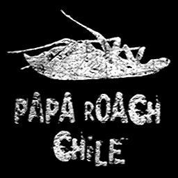 Somos la comunidad de fanáticos de Papa Roach más grande de Chile. Esperando su primer concierto en Chile | 14 de agosto | Movistar Arena ¡¡VIVA LA CUCARACHA!!