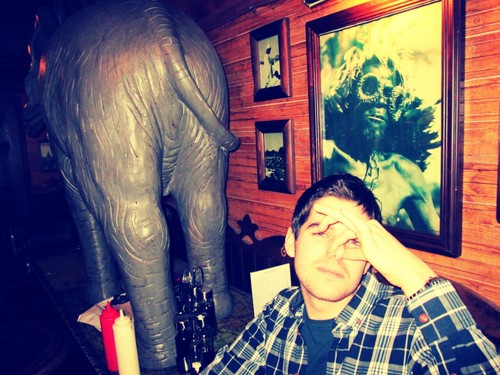 ichelioss's profile picture. 