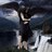 FeurigeHexe's profile image