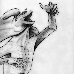 I love to sketch