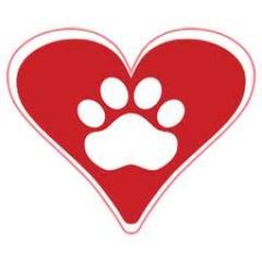 Animal Welfare - Help Animals in Ireland