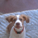 Dale Sullivan - @dalesullivan40 - Twitter