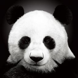 77Fisa's profile picture. 