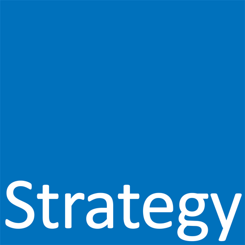 Capital strategies for entrepreneurs and startups.