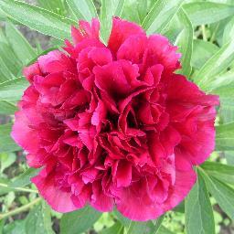 Thanks for following;-)