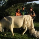 Nancy Melgar - @nlmelgar - Twitter