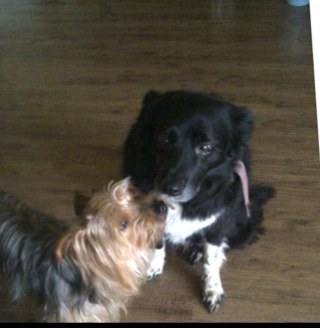 4_1_4_1's profile picture. 