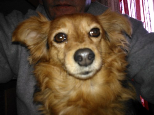 PaoloTassp's profile picture. 