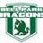 bellparkdragons's profile image