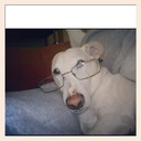 Gerard Cooke - @GerardCooke1 - Twitter