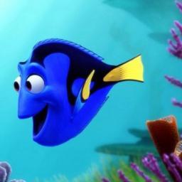 First Dory Meme Creator And Funny Quotes!
Follow To Help Us Find Dory! 
Who's Dory?