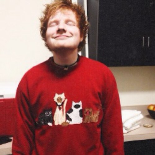 sheeransmeow's profile picture. free follow from @clffords