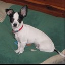 Kim Carnahan - @Carnahan1985 - Twitter