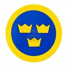 Adult Hockey Team and recreational hockey club in Naperville IL.
