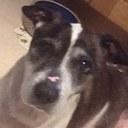 Robert Orr - @Robalineo - Twitter