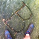 Patrick Brennan - @PatBlairBrennan - Twitter