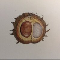 Rosemary Thompson (@thompsonrosey) 's Twitter Profile