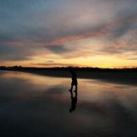 elisa bacci (@elibacci) 's Twitter Profile