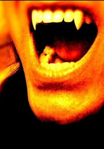 LordReyLo's profile picture. the coolest person u will ever meet.. ask me anything...