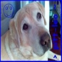 Floyd Moses - @FloydMoses2 - Twitter