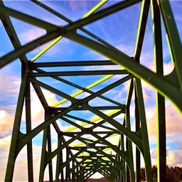 dillylama's profile picture. 