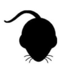 RodentFree's profile picture. The Safe Rodent Control Coalition promotes effective & affordable rodent control solutions that protect kids, pets, and wildlife from exposure to rodenticides.