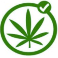 Why drink and drive when you can smoke and fly.  Blazing a trail to legalize #Marijuana. Sign the petition here: http://t.co/jDZyoP3iye  #legalizeit