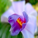 Dwight Hodges - @DwightHodges2 - Twitter