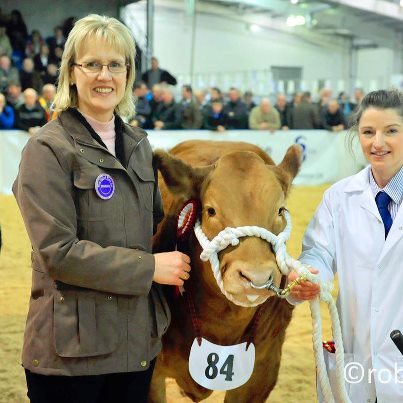 General Manager at Pedigree Livestock Services
