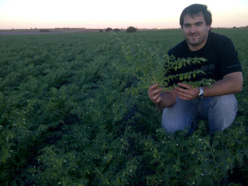 Ingeniero Agrónomo.