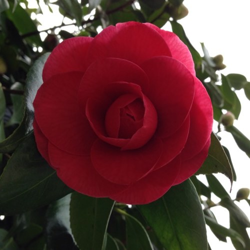 jxxilnk's profile picture. 