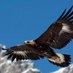 Mauro71 (@bmwmukka71) Twitter profile photo