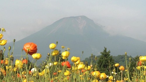 darkblue8980's profile picture. 