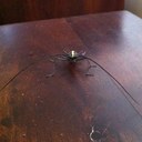 Stuart McClelland - @mcclovinstu - Twitter