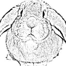 Resources for rabbits and their people in the NC Triangle area.
Follow us at @trianglerabbits@mstdn.social.